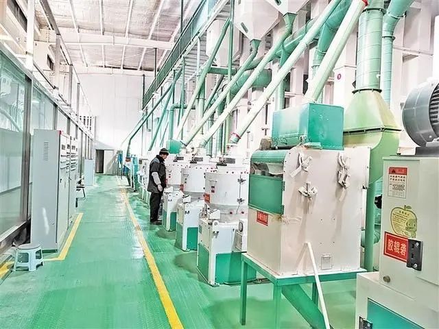 安陽市億天米業有限公司怎么樣？